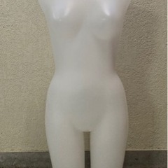 シャンデールの中古が安い！激安で譲ります・無料であげます