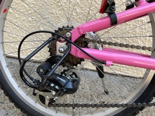 LOUIS GARNEAU ルイガノ 22インチ 子供用　ジュニアバイク J22 自転車