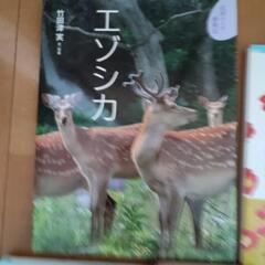 小学生向け　本　まとめての画像