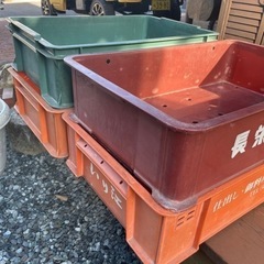 業務用　ばんじゅう　プラスティックケース　4つあります。差し上げます。