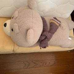 Ted達の画像