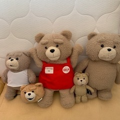 Ted達の画像