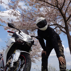 🏍お試しツーリング🏍 CBR250RR（MC51）乗り限定 Yo...