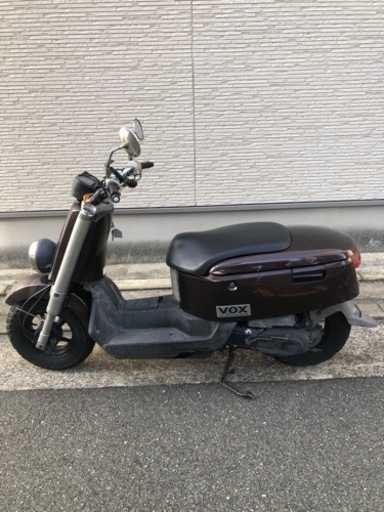 vox  購入者決定