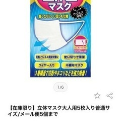 新品未使用 未開封 マクス 立体型 快適＆爽やか レギュラーサイズ 男女兼用の画像