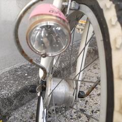 PECHE子供用自転車 20㌅6速オートライトの画像