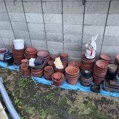 植木鉢 大量出品中！