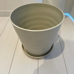 【受付終了】植木鉢　8号　底付き　アイボリー　プラスチック