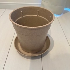 植木鉢　5号　ベージュ　プラスチック　底付き