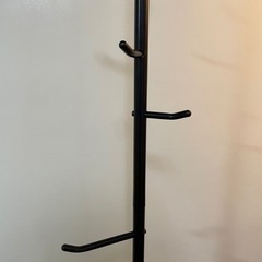 サボテン　コートラックの画像