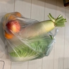 野菜詰め合わせセット（取引決定済）