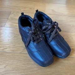 ウォーキングシューズの画像