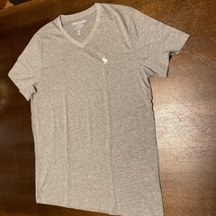 アバクロの未使用Tシャツ❣️2枚組