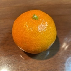 みかん5キロ 