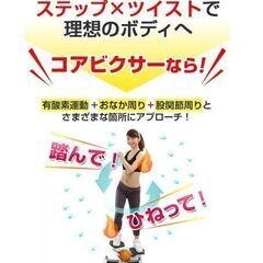 【引取り限定】動作確認済み！エアロライフ コアビクサー｜自宅で簡...