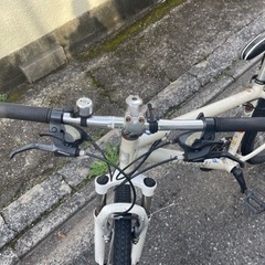 Louis Garneau ルイガノ　マウンテンバイクの画像