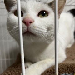 里親様決まりました✨