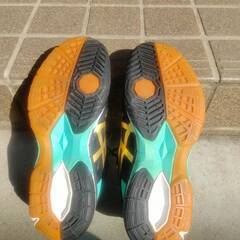 asics バレーボールシューズ　23.5cm　レディース　アシックス　GEL–TACTIC　直接取引歓迎　取り置き無料 愛知県岡崎市からの画像
