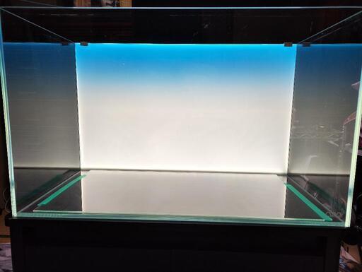 ADA60レギュラー水槽