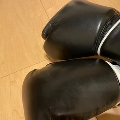 値下げ！サンドバッグ（ボクシンググローブ付き）の画像