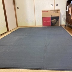 お取り引き先決定。3畳用ホットカーペット+カーペットの画像