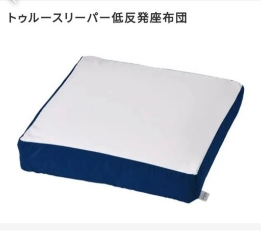 トゥルースリーパー◇低反発座布団
