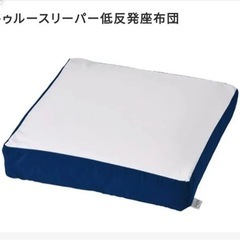 トゥルースリーパー◇低反発座布団