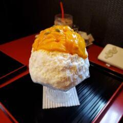 グループメンバー募集 - 練馬区
