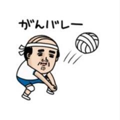 30歳以上の混合バレーボール - メンバー募集