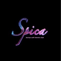 ソフトテニスサークルSpicaです！！