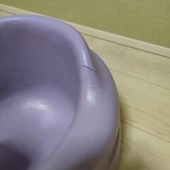 バンボ　パープル　紫の画像