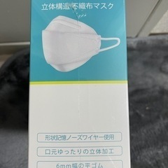 新品未使用 マスク 個別包装 50枚×3ケース＋半端1ケースの画像
