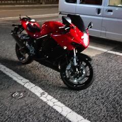 ﾋｮｰｽﾝ gt 250r