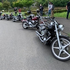 3/26(日)    ハーレー限定でツーリング🏍