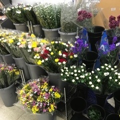 生花の加工スタッフ募集中！