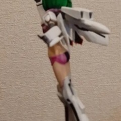 ランカリーフィギアの画像