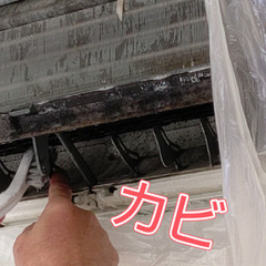 年始年末大掃除