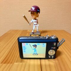 Panasonic　Lumix　DMC-TZ7の画像