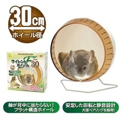 小動物用　回し車　サイレントホイール30センチの画像