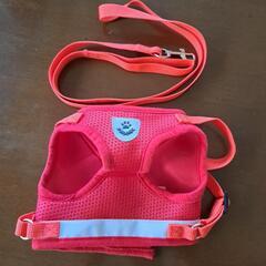 ハーネス、リードの画像