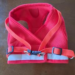 ハーネス、リードの画像