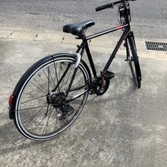 BRIDGESTONE GREEN LABEL MARKROSA7段変速の画像