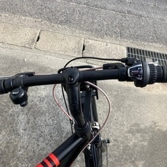 BRIDGESTONE GREEN LABEL MARKROSA7段変速の画像