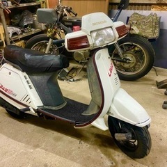 リード80ss