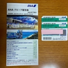 ANA株主優待券　2023年11月30日まで
