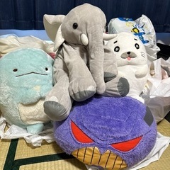 大きい　ぬいぐるみ　すみっコぐらし　ゾウ　象　ぞうさんトイストー...