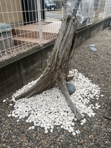 流木　オブジェ　アート　造園　和庭園