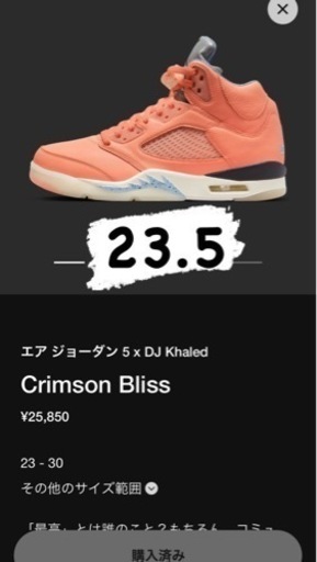 エアジョーダン5 x DJ Khaled