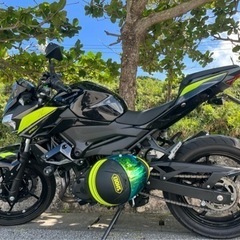 z250