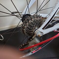 ピナレロneor 2015の画像